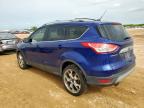 2014 Ford Escape Titanium продається в San Antonio, TX - Normal Wear