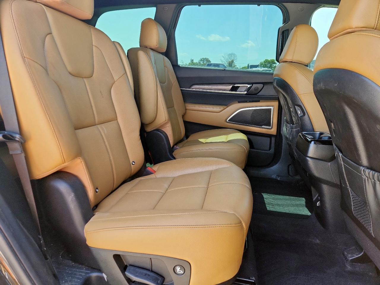 2022 Kia Telluride Sx VIN: 5XYP5DHC6NG194623 Lot: 60648055
