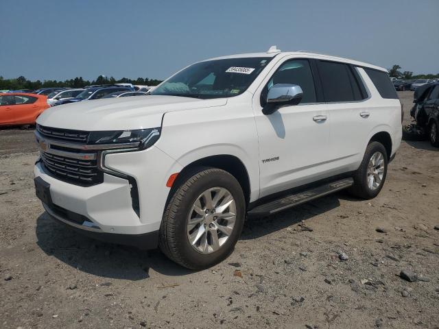 CHEVROLET TAHOE K150 2022