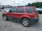 2006 Ford Escape Xlt for Sale in Madisonville, TN - Front End