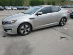 2012 Kia Optima Hybrid for Sale in Littleton, CO - Rear End