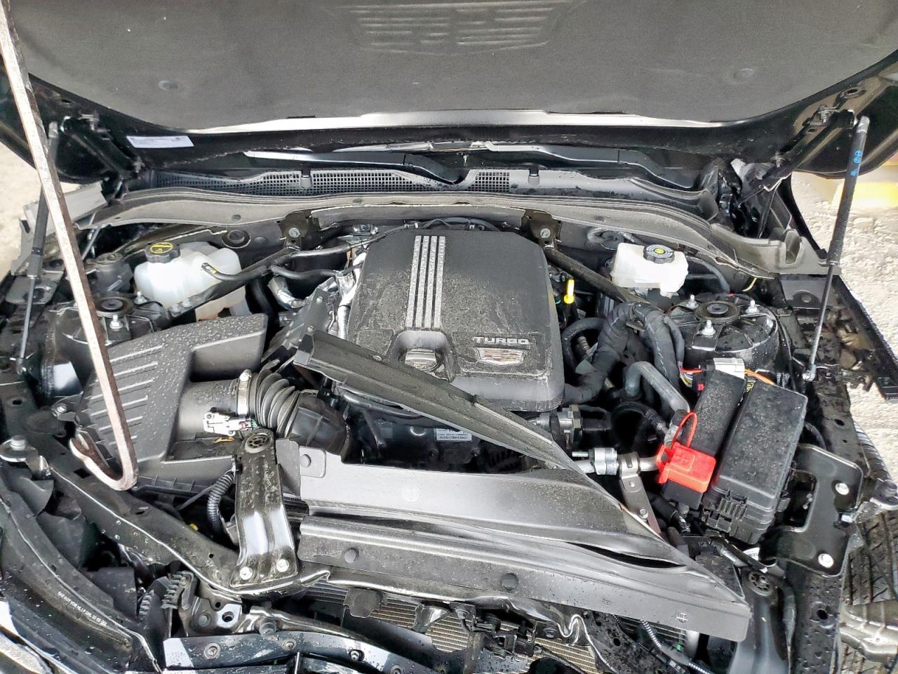 2025 Cadillac Ct4 Premium Luxury VIN: 1G6DB5RK0S0113871 Lot: 62570845