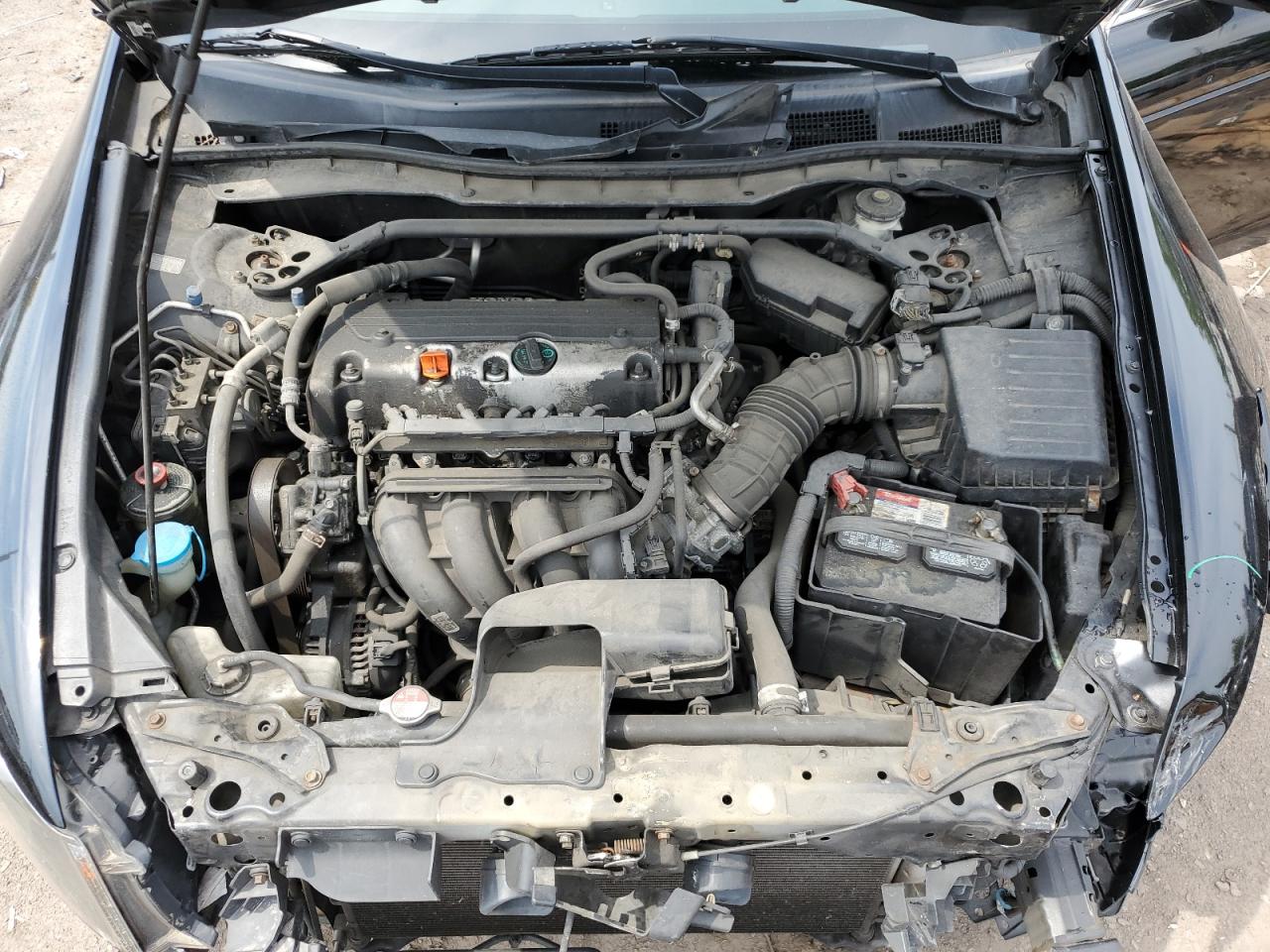 2010 Honda Accord Exl VIN: 1HGCP2F86AA197884 Lot: 62537715