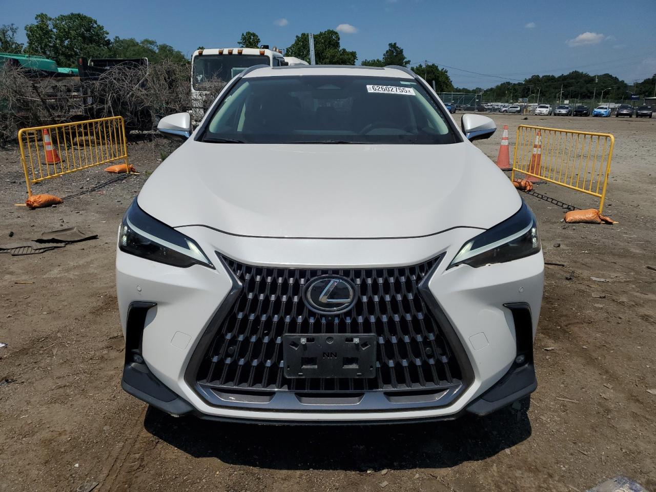 LEXUS NX 350 PRE 2024 VIN 2T2GGCEZ0RC056702 photo 5