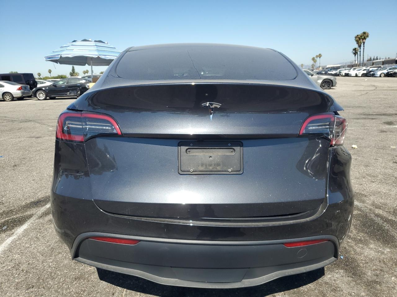 2025 Tesla Model Y VIN: 7SAYGDED3SF242855 Lot: 63055545