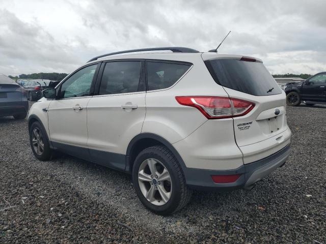  FORD ESCAPE 2016 Белы