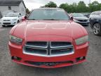 2013 Dodge Charger Sxt zu verkaufen in York Haven, PA - Minor Dent/Scratches