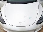 2023 Tesla Model 3    for Sale in Haslet, TX - Hail