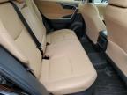 2024 Toyota Rav4 Le   за продажба в Albany, NY - Front End