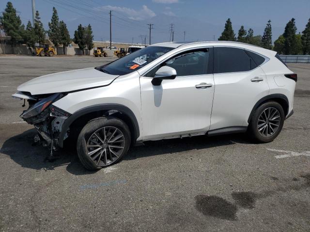 LEXUS NX 350H BA – zdjęcie z aukcji, lot #59751085