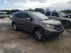 2012 Honda Cr-V Exl იყიდება Jacksonville-ში, FL - Front End
