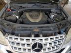 2010 Mercedes-Benz Ml 350 للبيع في Madisonville، TN - Front End
