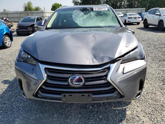  LEXUS NX 2017 Серый