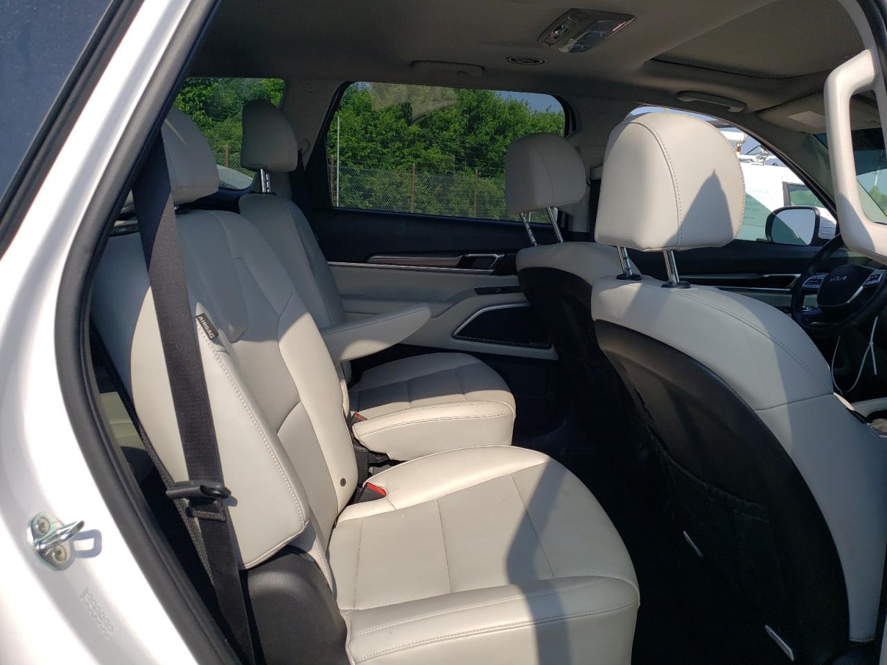 2024 Kia Telluride S VIN: 5XYP6DGC6RG493694 Lot: 62523355