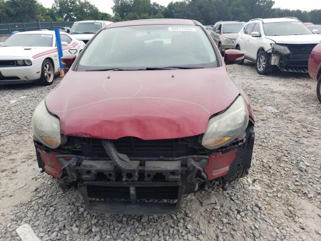 Hatchbacks FORD FOCUS 2014 Czerwony