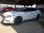 2016 Nissan Maxima 3.5S zu verkaufen in American Canyon, CA - Front End