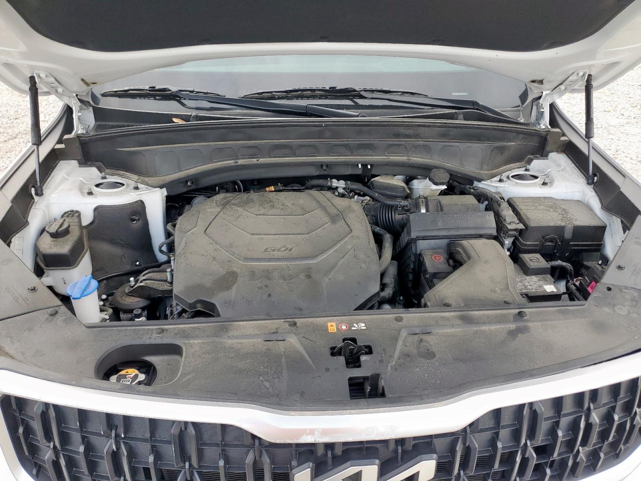 2024 Kia Telluride Ex VIN: 5XYP3DGC1RG432147 Lot: 62295145