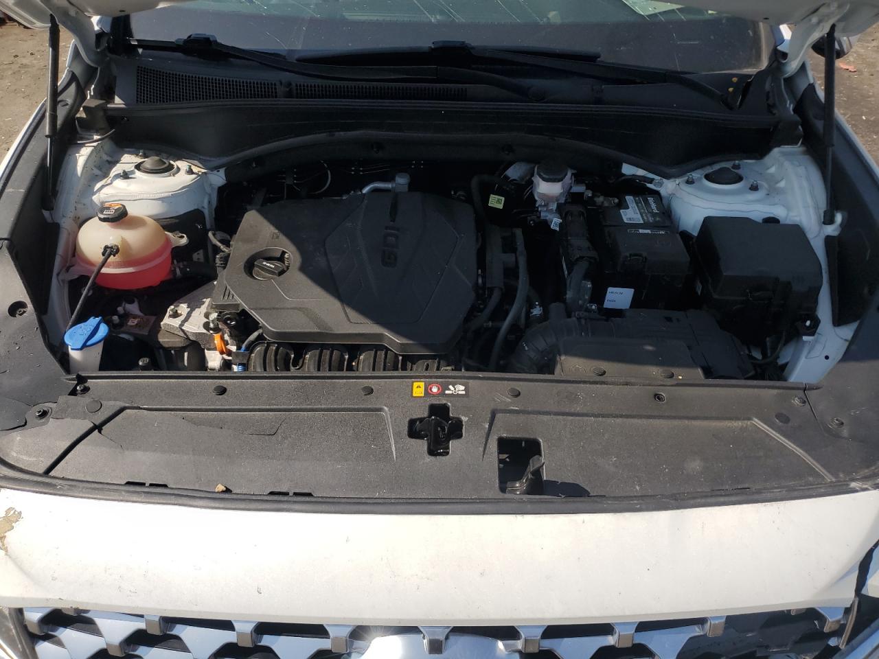 2021 Hyundai Santa Fe Sel VIN: 5NMS64AJ4MH345172 Lot: 61585675
