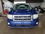 2008 FORD ESCAPE XLT   for sale at Copart MN - MINNEAPOLIS