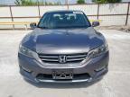 2013 Honda Accord Exl   for Sale in Haslet, TX - Hail