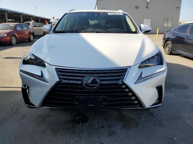  LEXUS NX 2019 Белы