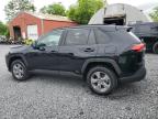 2024 Toyota Rav4 Le   за продажба в Albany, NY - Front End