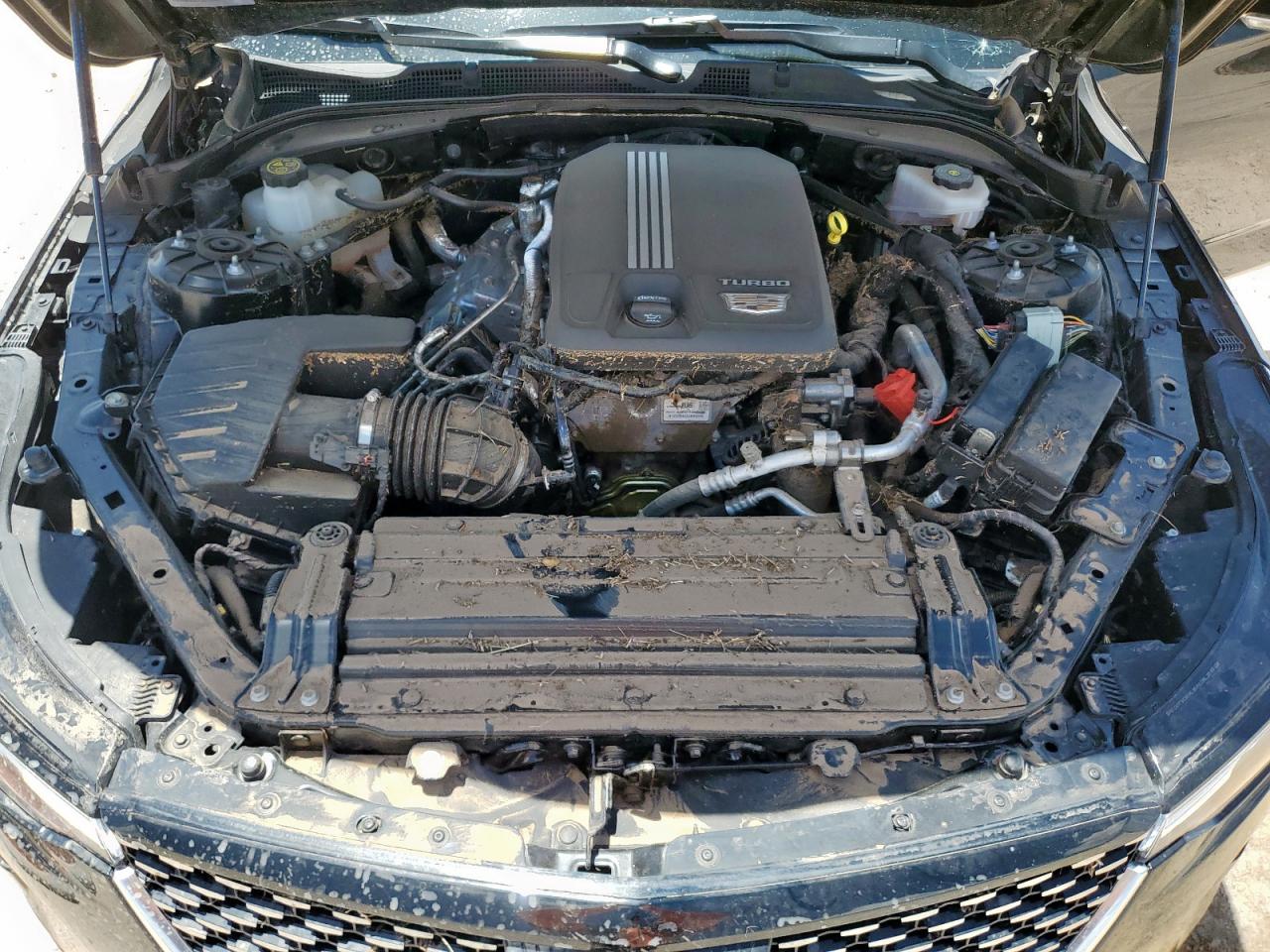 2023 Cadillac Ct4 Premium Luxury VIN: 1G6DB5RK8P0121174 Lot: 62988355