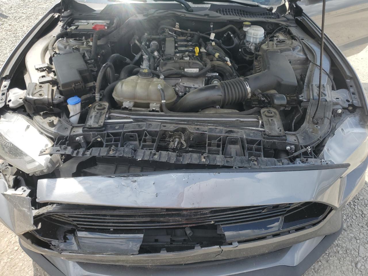 1FA6P8TH2M5134769 FORD ALL Models 2021