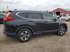 2017 Honda Cr-V Lx de vânzare în London, ON - Front End