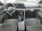 2023 Hyundai Elantra Sel for Sale in Taylor, TX - All Over