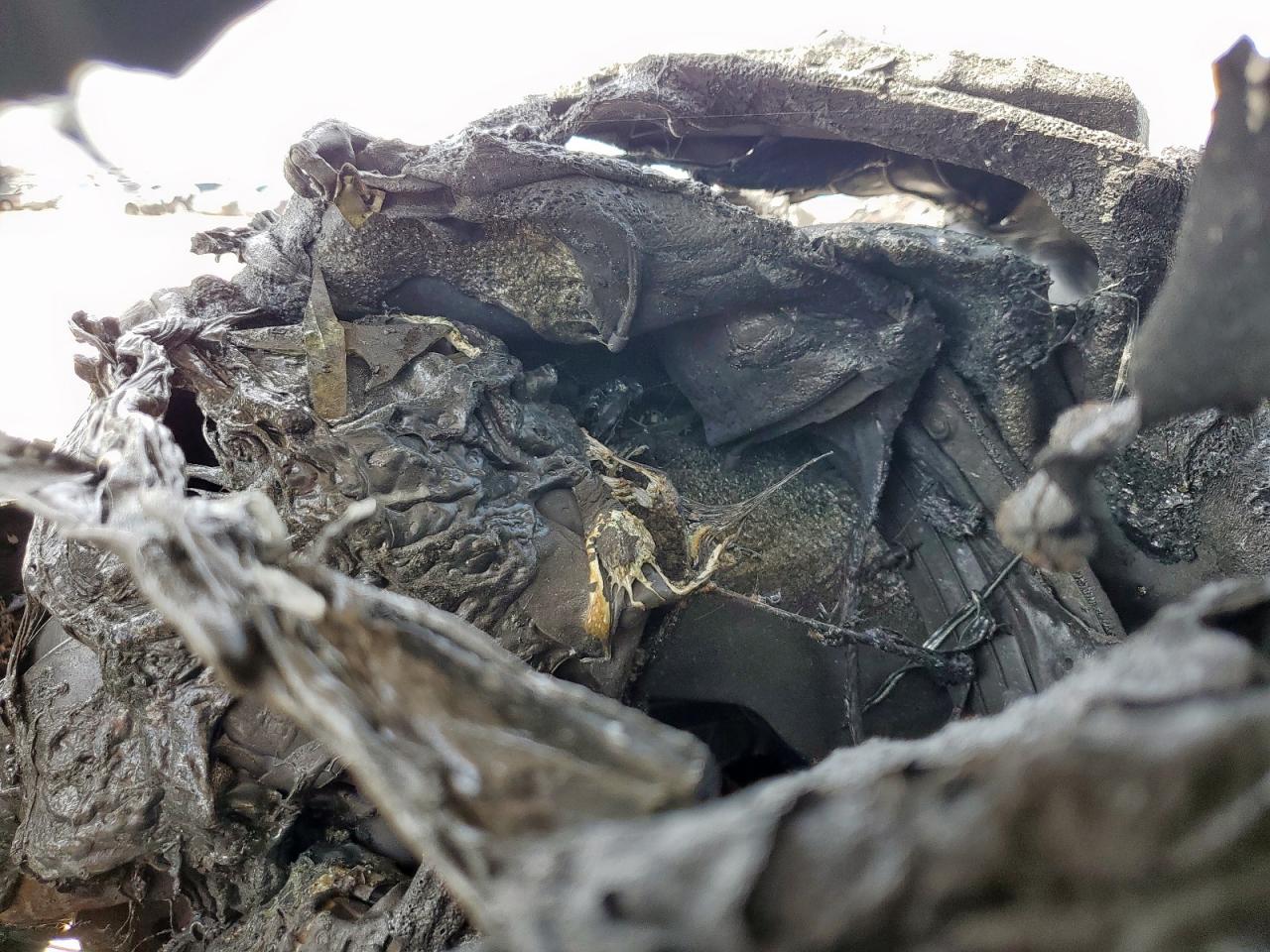 2020 Ford F150 Supercrew VIN: 1FTEW1E43LFB77228 Lot: 59777695