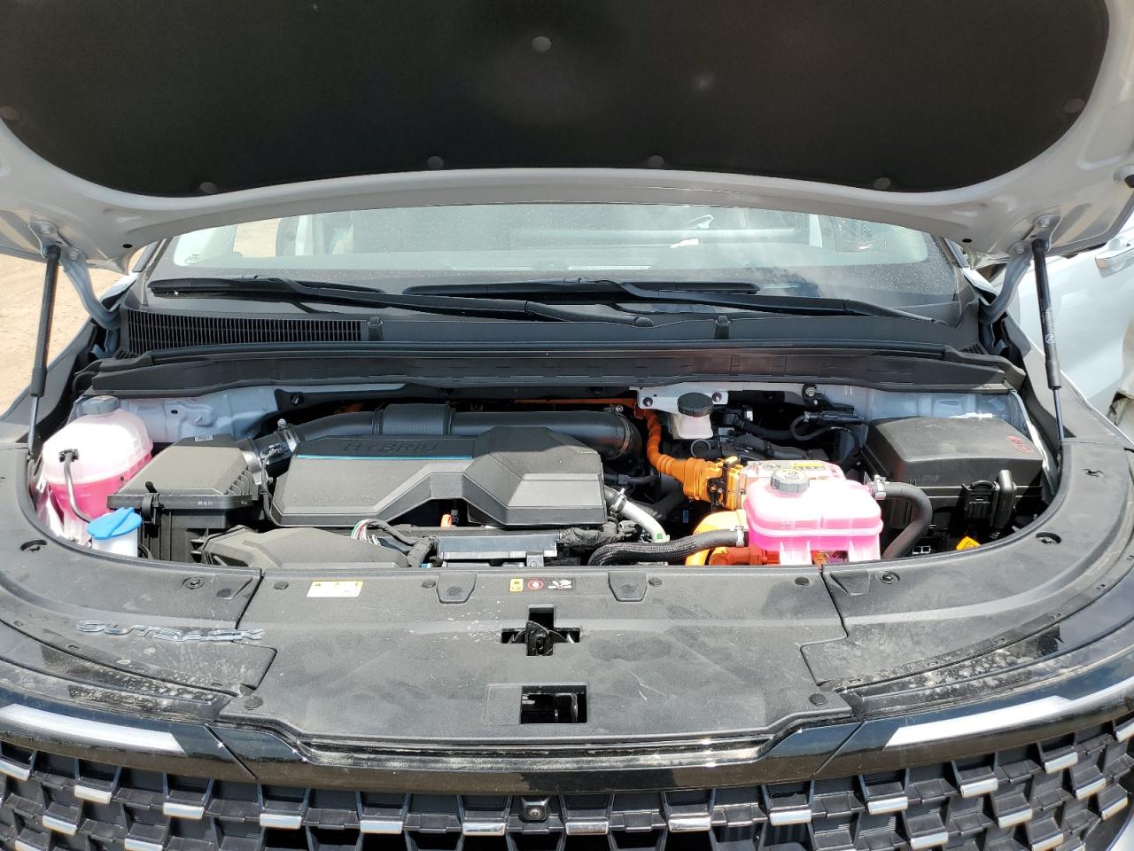 2025 Kia Carnival Sx VIN: KNDNE5KAXS6039219 Lot: 60833595
