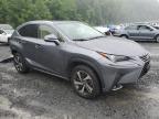 2021 Lexus Nx 300 Base за продажба в Marlboro, NY - Rear End