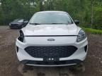 2021 FORD ESCAPE S   for sale at Copart ON - COOKSTOWN