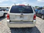 2011 Ford Escape Xlt   للبيع في Madisonville، TN - Front End