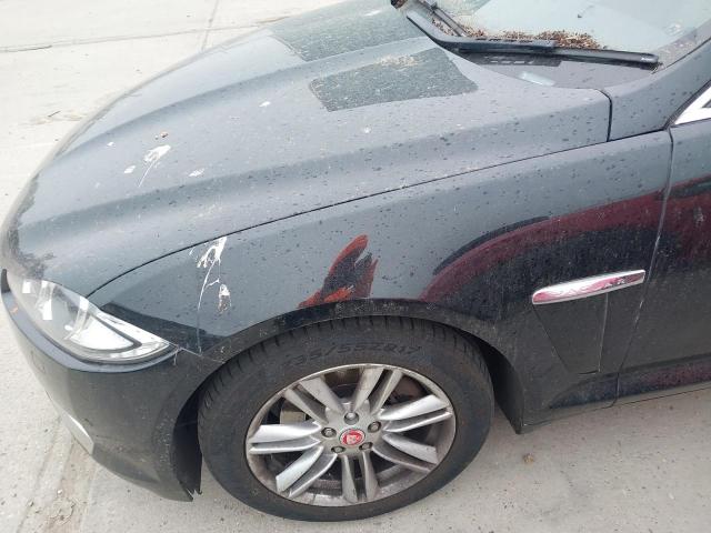 2014 JAGUAR XF LUXURY