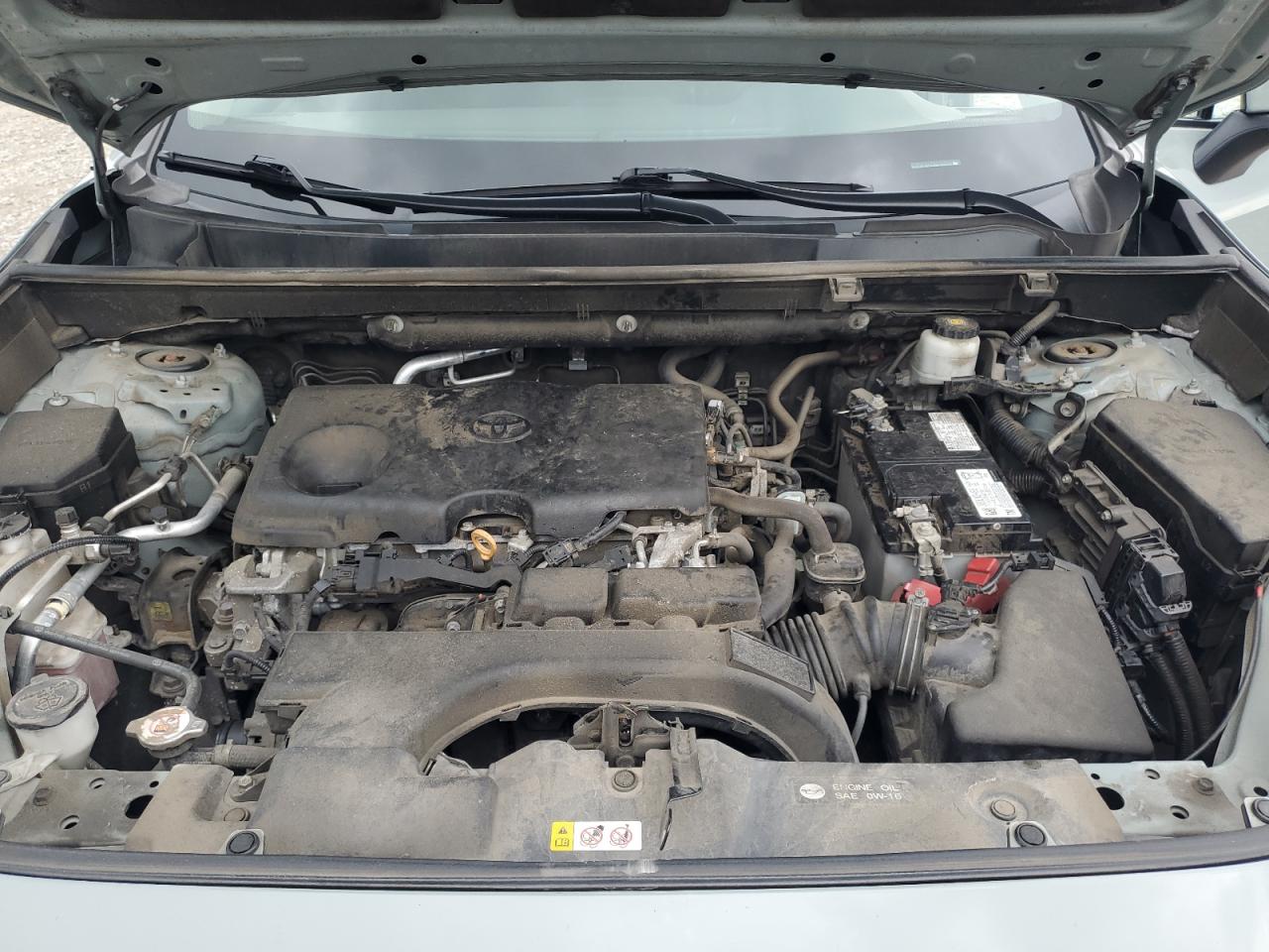 2021 Toyota Rav4 Xle VIN: 2T3P1RFV1MW160750 Lot: 62358285