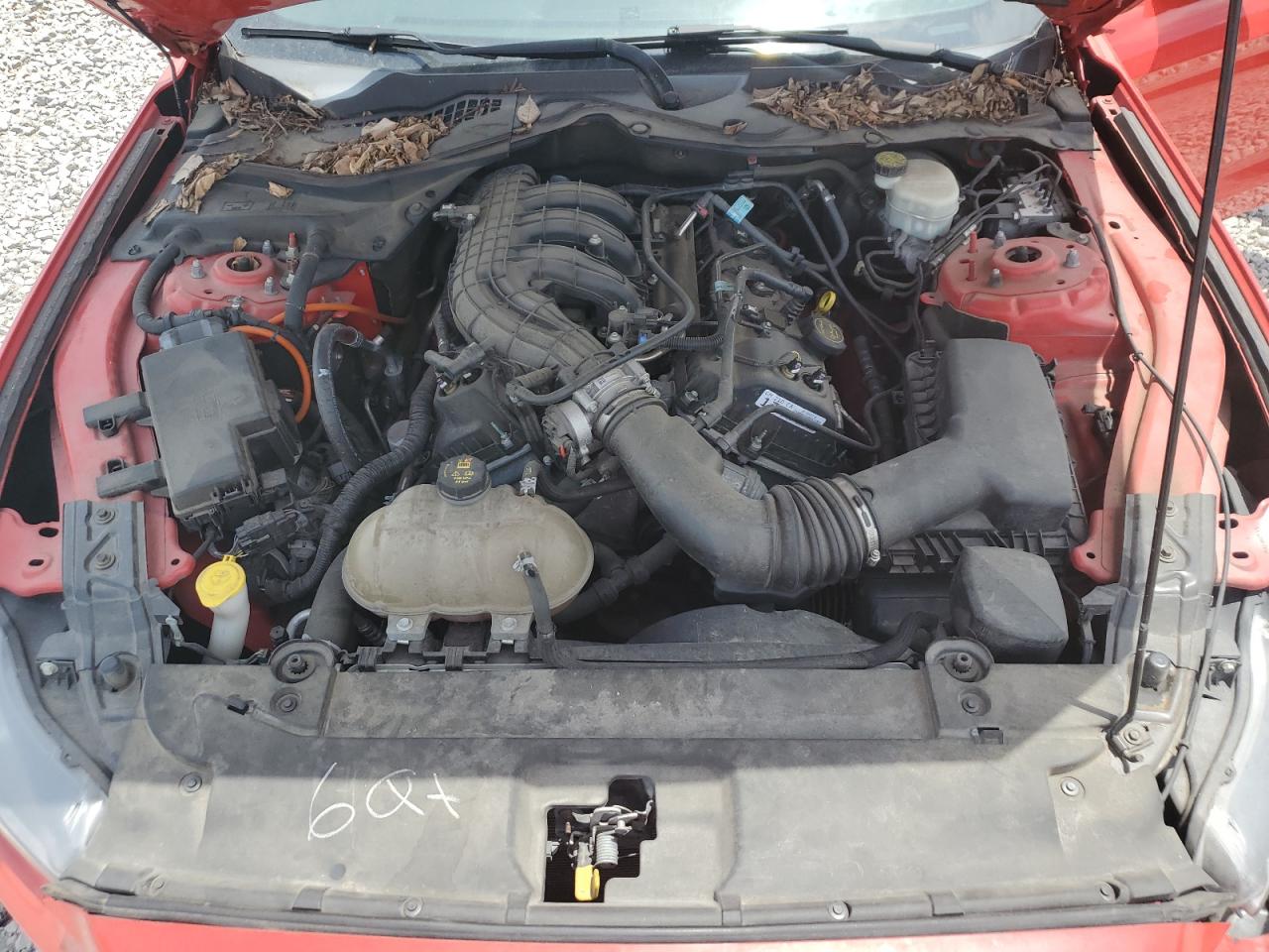 FORD ALL Models 2017 VIN 1FA6P8AM6H5339131 zdjęcie 11