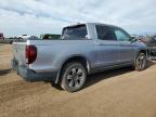 2017 Honda Ridgeline Rtl   na sprzedaż w Brighton, CO - Hail