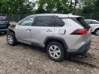 2019 Toyota Rav4 Le за продажба в Cicero, IN - Front End