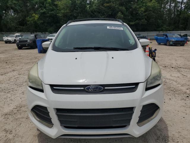  FORD ESCAPE 2013 White