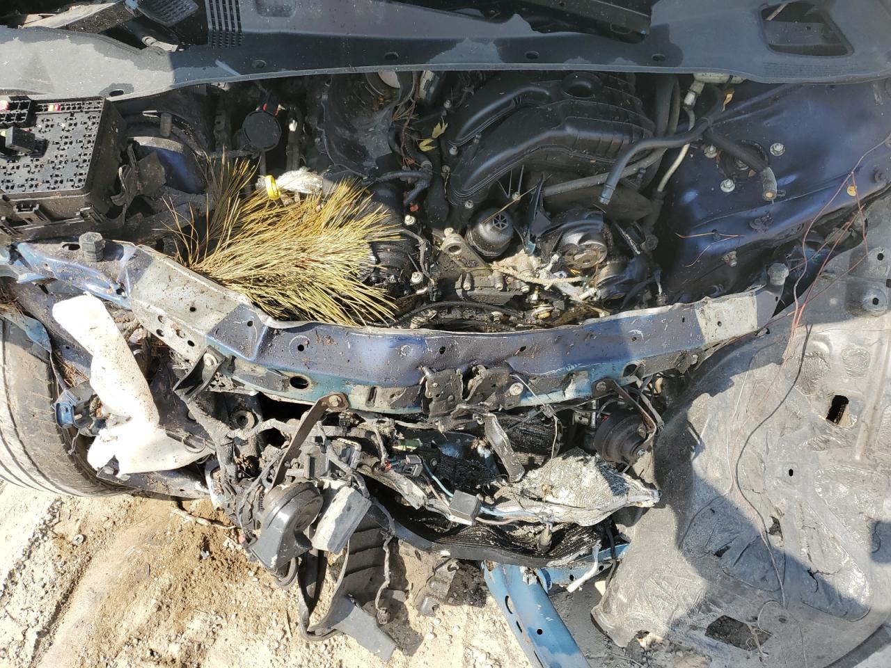 2016 Dodge Charger Sxt VIN: 2C3CDXHG2GH215904 Lot: 71970905