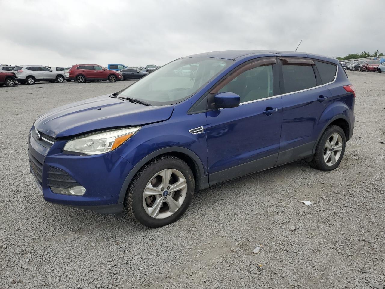 2014 Ford Escape Se for Sale in Earlington, KY - Top/Roof