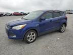 2014 Ford Escape Se for Sale in Earlington, KY - Top/Roof