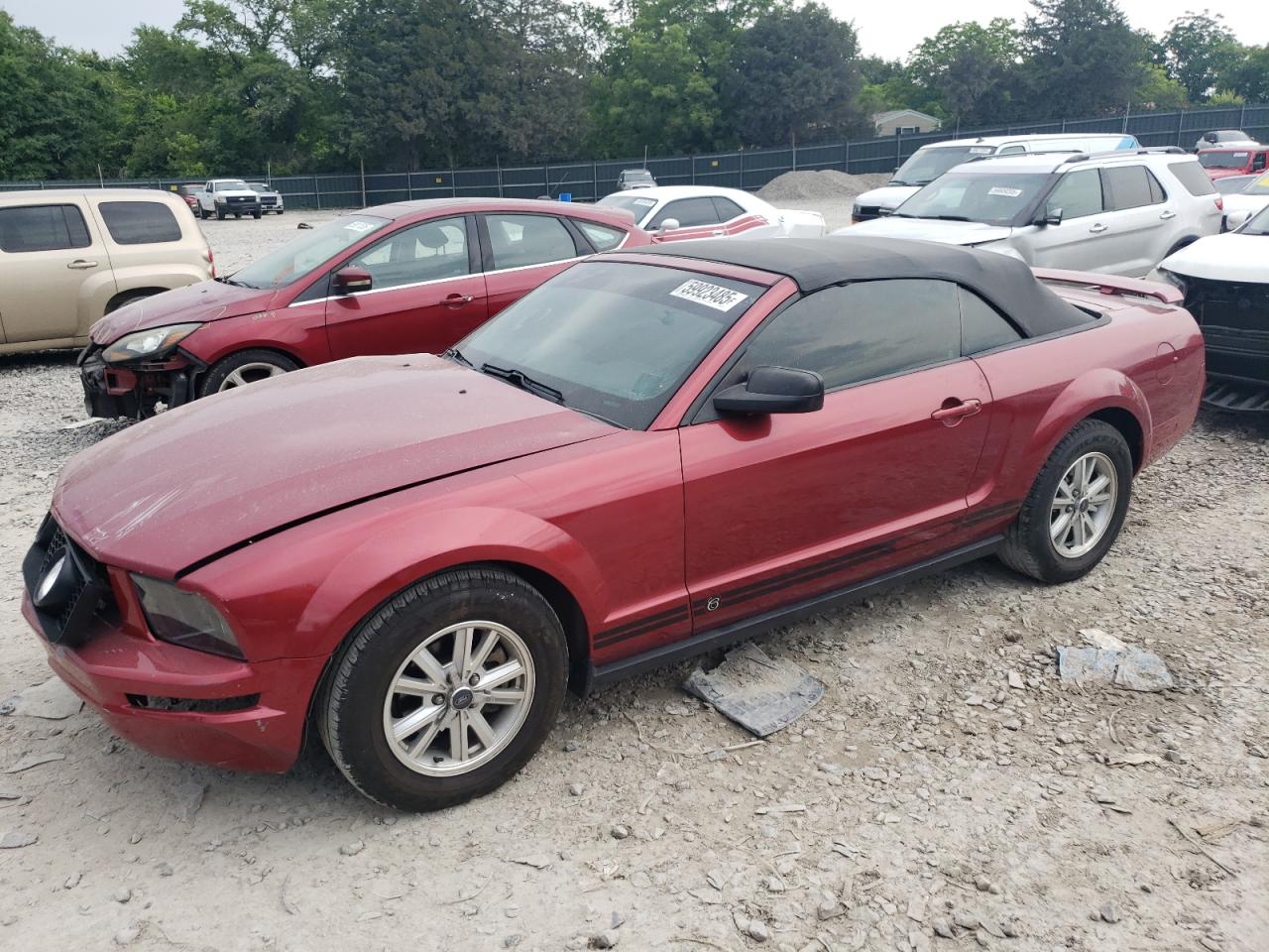 2006 Ford Mustang for Sale in Madisonville, TN - Front End