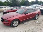 2006 Ford Mustang    for Sale in Madisonville, TN - Front End