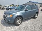2011 Ford Escape Xlt for Sale in Barberton, OH - Minor Dent/Scratches