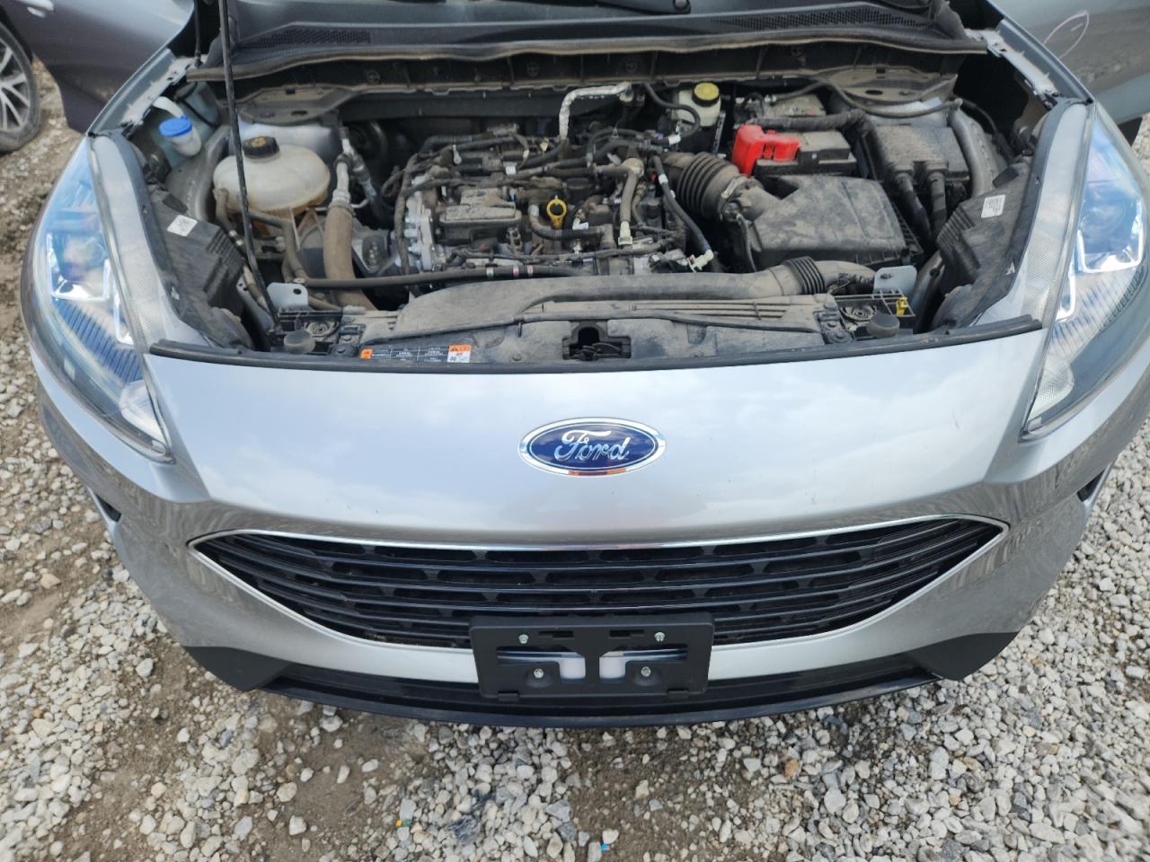 2021 Ford Escape Se VIN: 1FMCU0G69MUA19684 Lot: 62933545