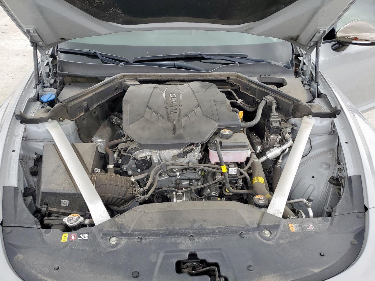 2023 Kia Stinger Gt Line VIN: KNAE35LD6P6135982 Lot: 60329265