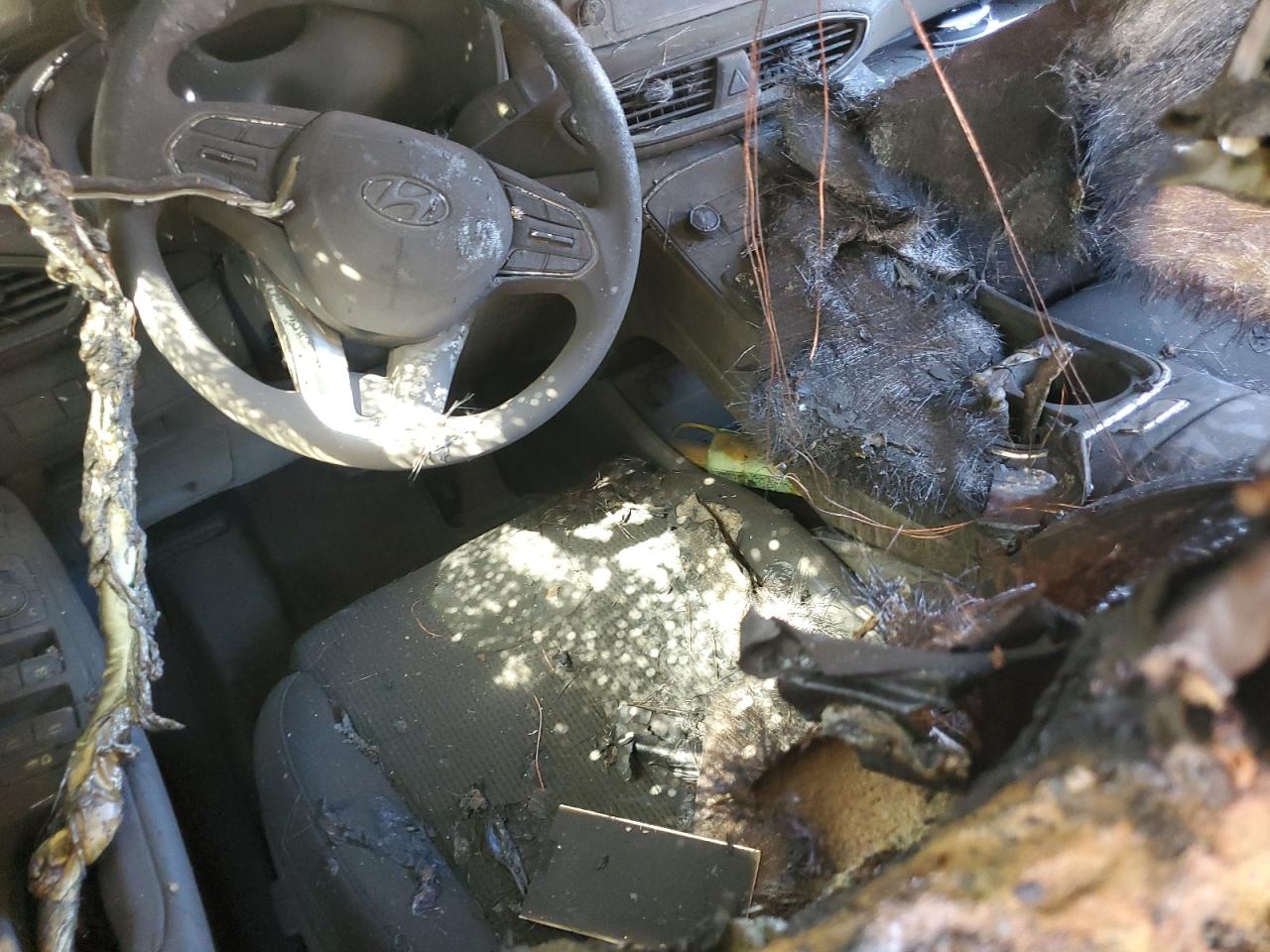 2022 Hyundai Santa Fe Sel VIN: 5NMS2DAJ0NH450885 Lot: 62377105